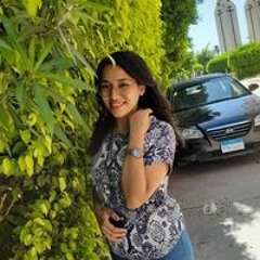 Nardin Samy