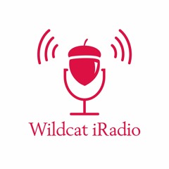 Wildcat iRadio