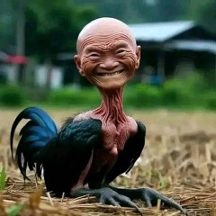 a bin bel