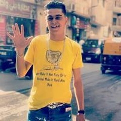 Ahmed Samermohamed Eldeb