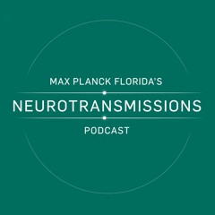 Max Planck Florida's Neurotransmissions