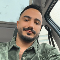 sina narimani