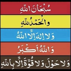 مصطفي امين السيد