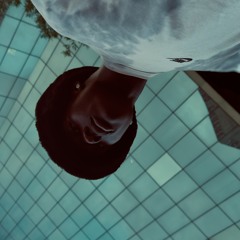 GeminiGee