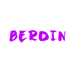Berdin