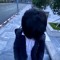 hdmy