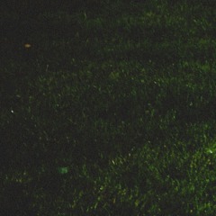 𝑹𝒂𝒏𝒅𝒚 𝑻𝒄𝒉𝒊𝒌