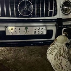 هياء