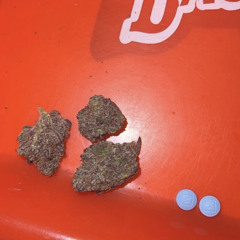 nofuxzz