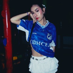 Sari