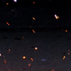 UFOCEO