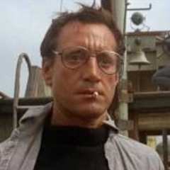 Chief Martin Brody