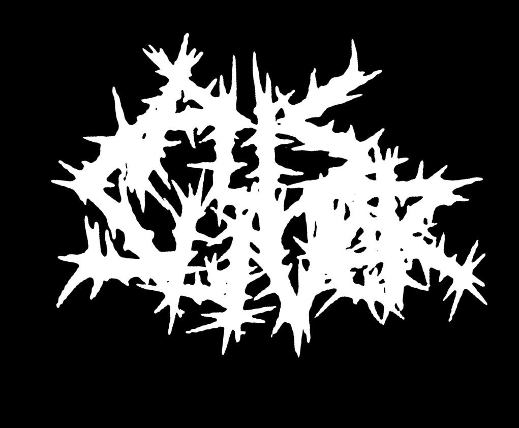 Pus Sliver