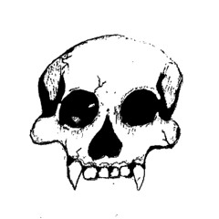 sxulz vault