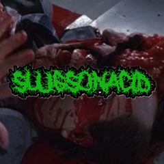 SlugsOnAcid