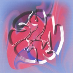 SYNEK DNB