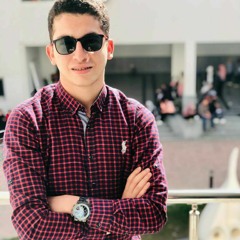 mohamedelagwany