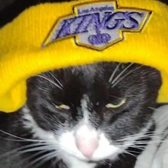 MeowKittyCat