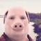 big mac boysen