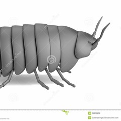 Pillbug