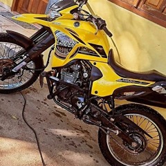 gusta75