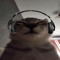 User of Beans
