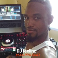Dj Feelinz400