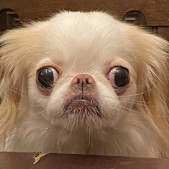 Mia Mystery