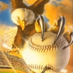 Mr.Bird