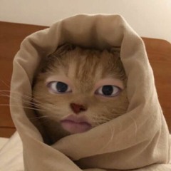 Beansweatshirt