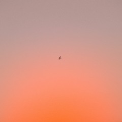 lvrlcntmnj
