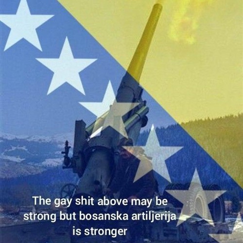 Bosanska Artiljerija’s avatar