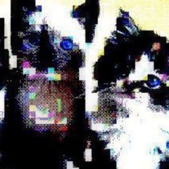 JustOnePlayerVzxcker