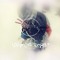 little ~Jøsh "el3ctro" ✨