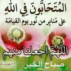 زينه يسن