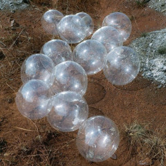 posh princess ⭐️