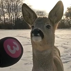 ‎