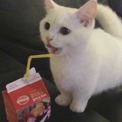 ꧁༒b̥ͦl̥ͦu̥ͦe̥ͦb̥ͦe̥ͦr̥ͦr̥ͦy̥ͦ.