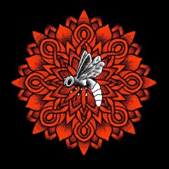 Firefly & Geometry