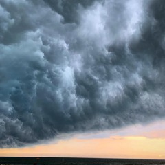 industry plant medicine