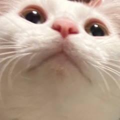 Emmy