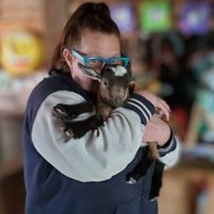 Dianna Dawn Wilson-Jepson