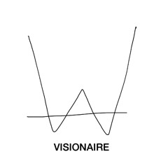 THE VISIONAIRE