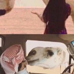 🫧