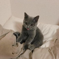 꾸꾸야 양치좀해