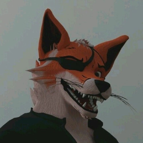 MajorFox Mj’s avatar