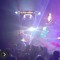jungle jake 303