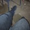 Eltop