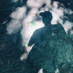 Echoes of Reminiscentia