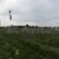 HP: 925 MP: 463